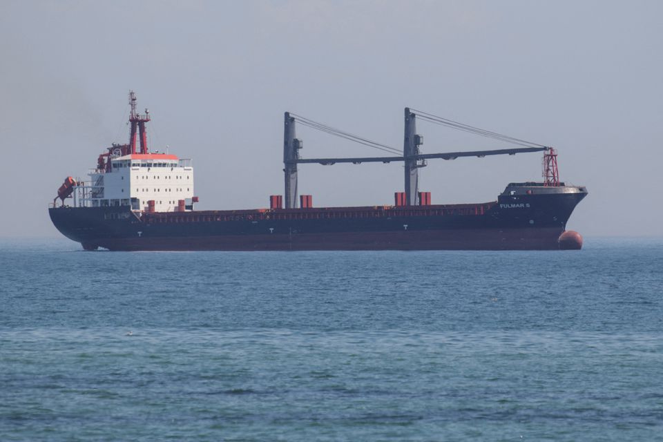 Two more ships with grain depart Ukrainian port, Turkey says