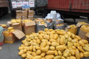 Customs FOU ‘C' intercepts pangolin scales, other contraband worth N2bn