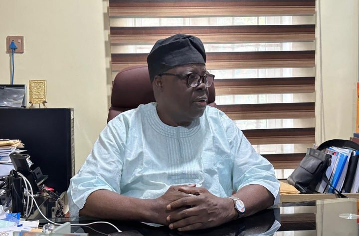 Nigeria's blue economy ministry lacks direction, those who packaged it did it for show- Shittu