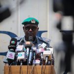 Customs intercepts container laden with over 10,000 donkey genitals