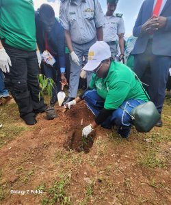 COWA launches Green Border initiative at Seme, takes campaign to UN Climate Change Summit in Brazil