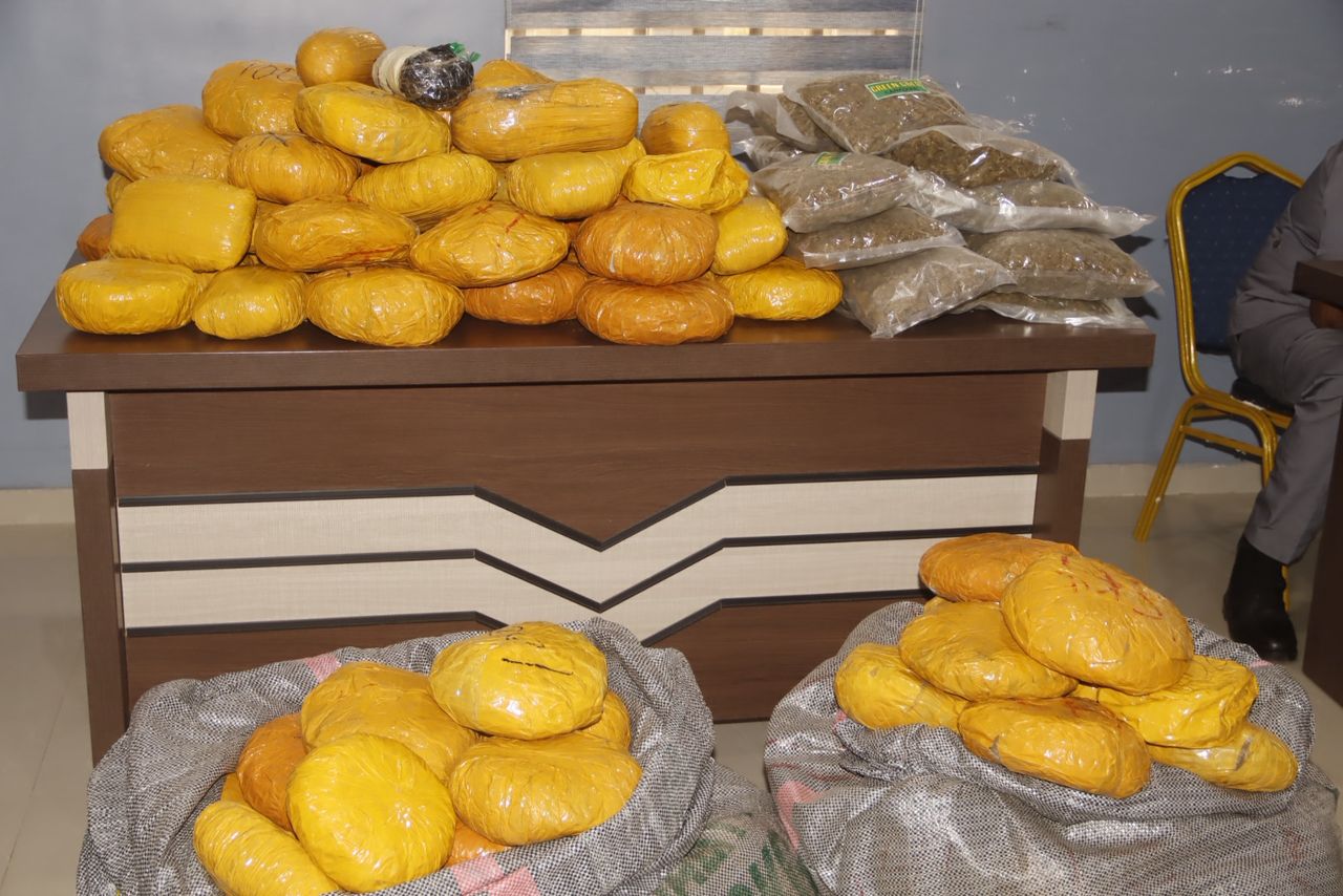 Customs FOU 'C' intercepts, hands over 151 parcels of Cannabis, 15 wraps of Canadian Loud to NDLEA