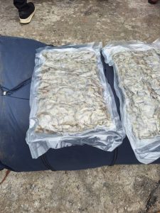 Again! Customs, NDLEA seize 1,187kg of Canadian Loud in Apapa Port