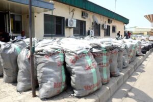 Tin Can Customs intercepts N18.9bn cannabis hidden in used vehicles from Canada, hands over to NDLEA