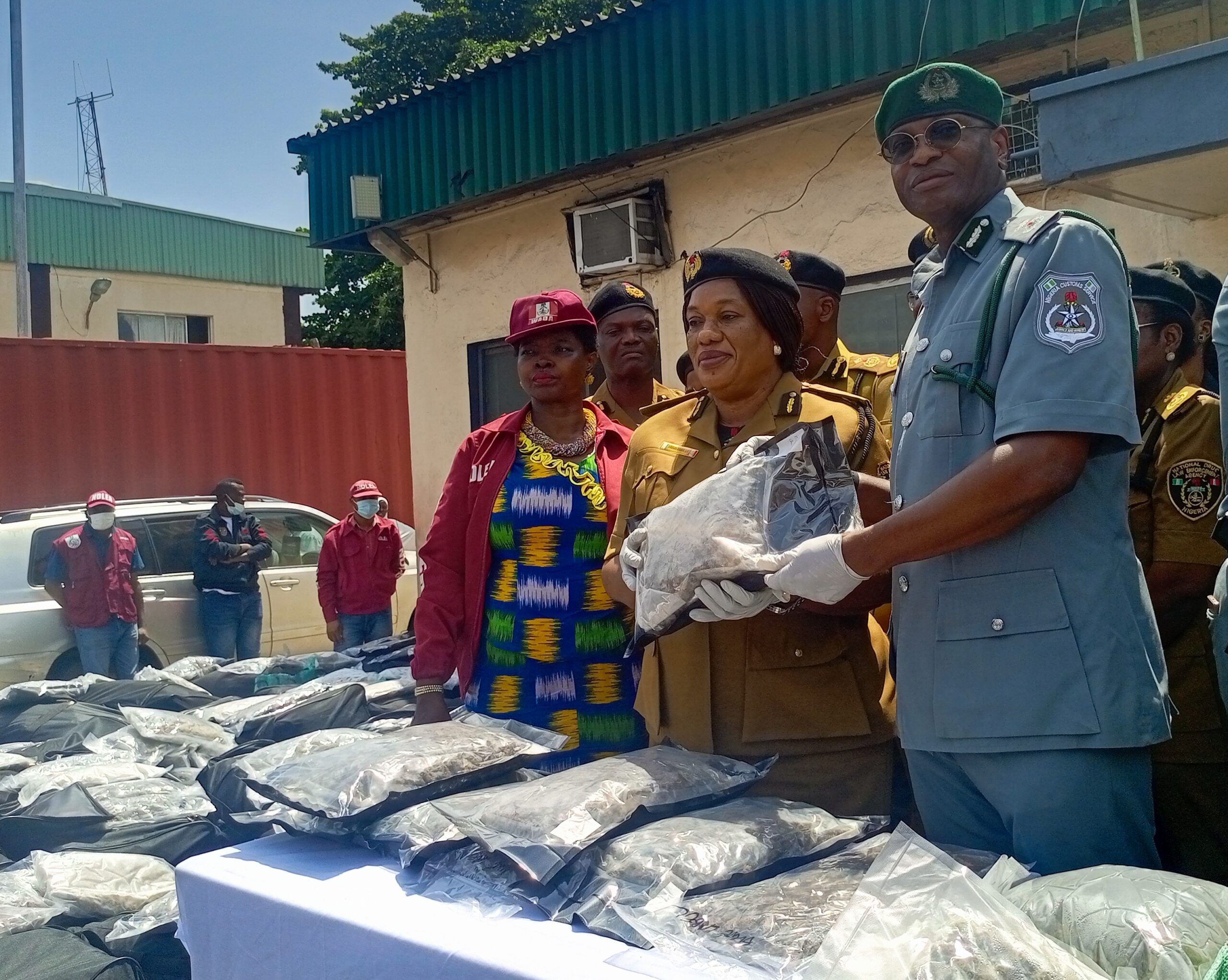 Customs, NDLEA foil another N16.6bn cannabis smuggling attempt at Tin Can port